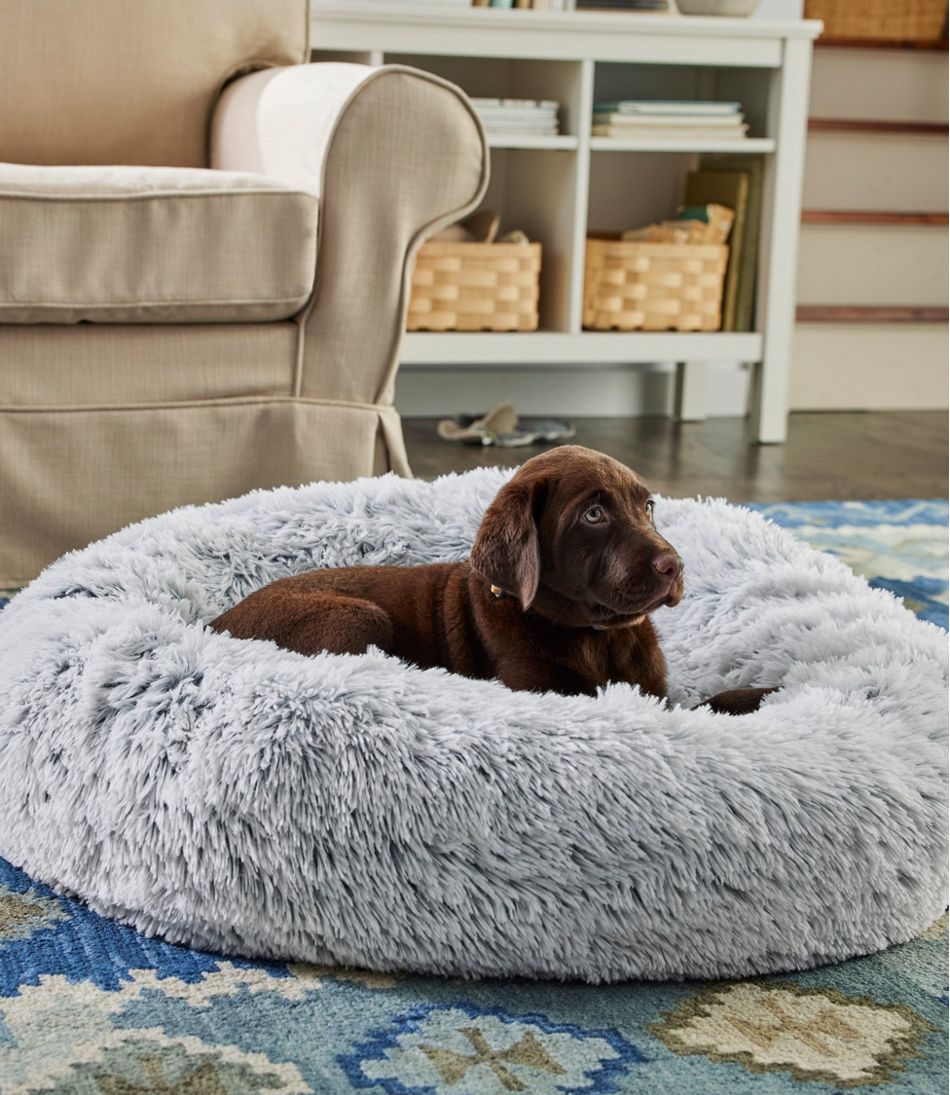 Dog Beds